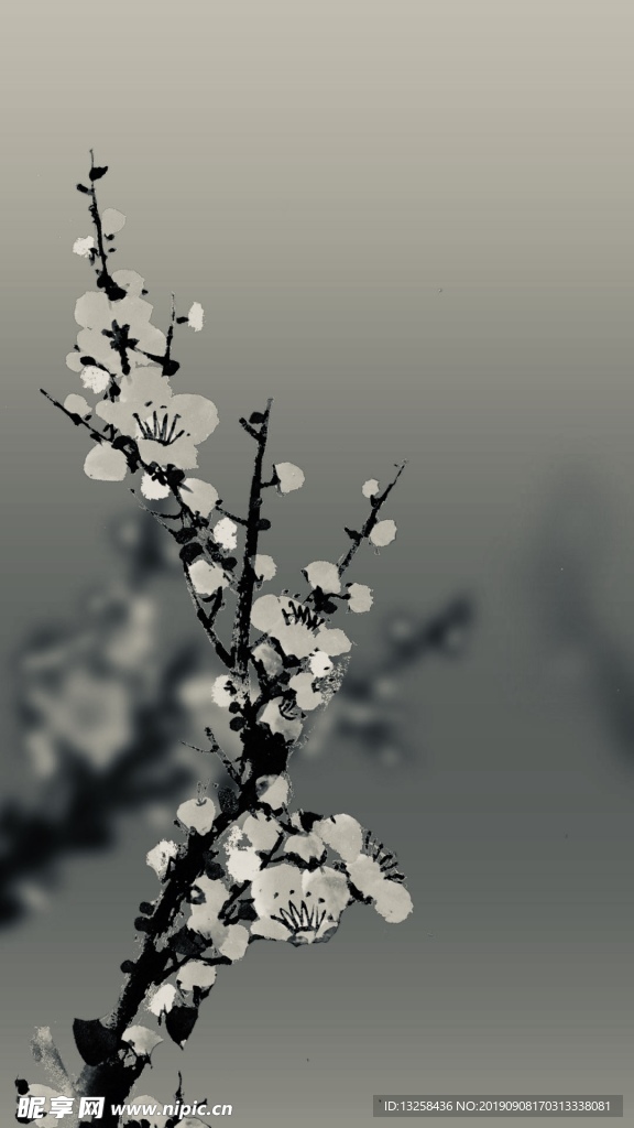 白色梅花