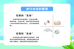 垃圾分类