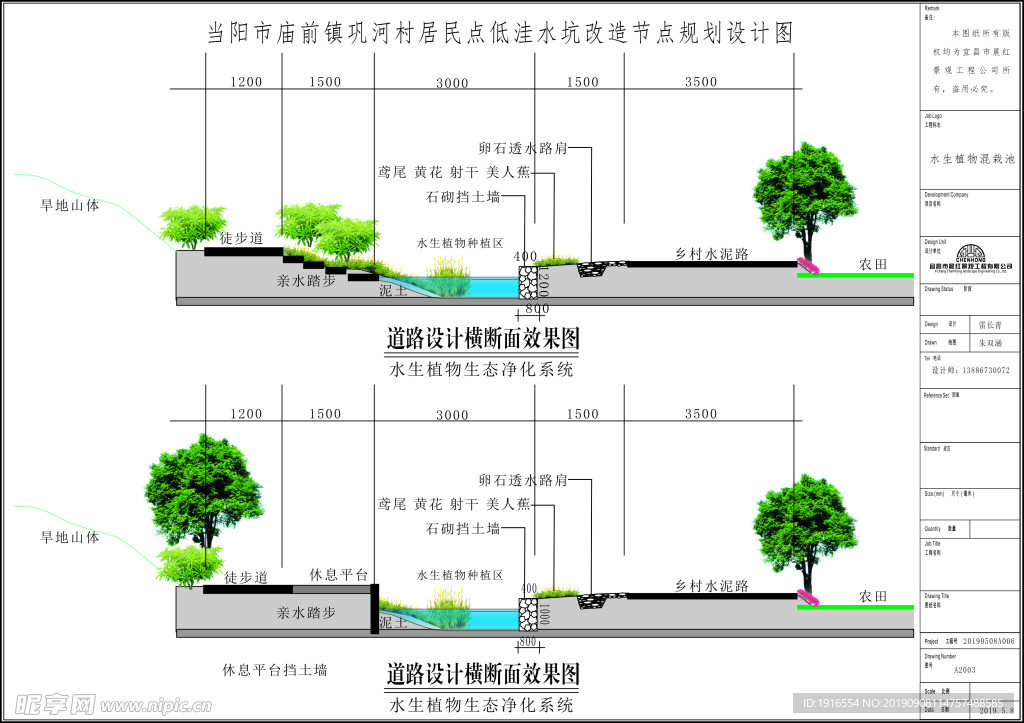 道路横断面图