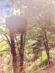 大觉山景区