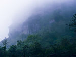 太行山雨后山林