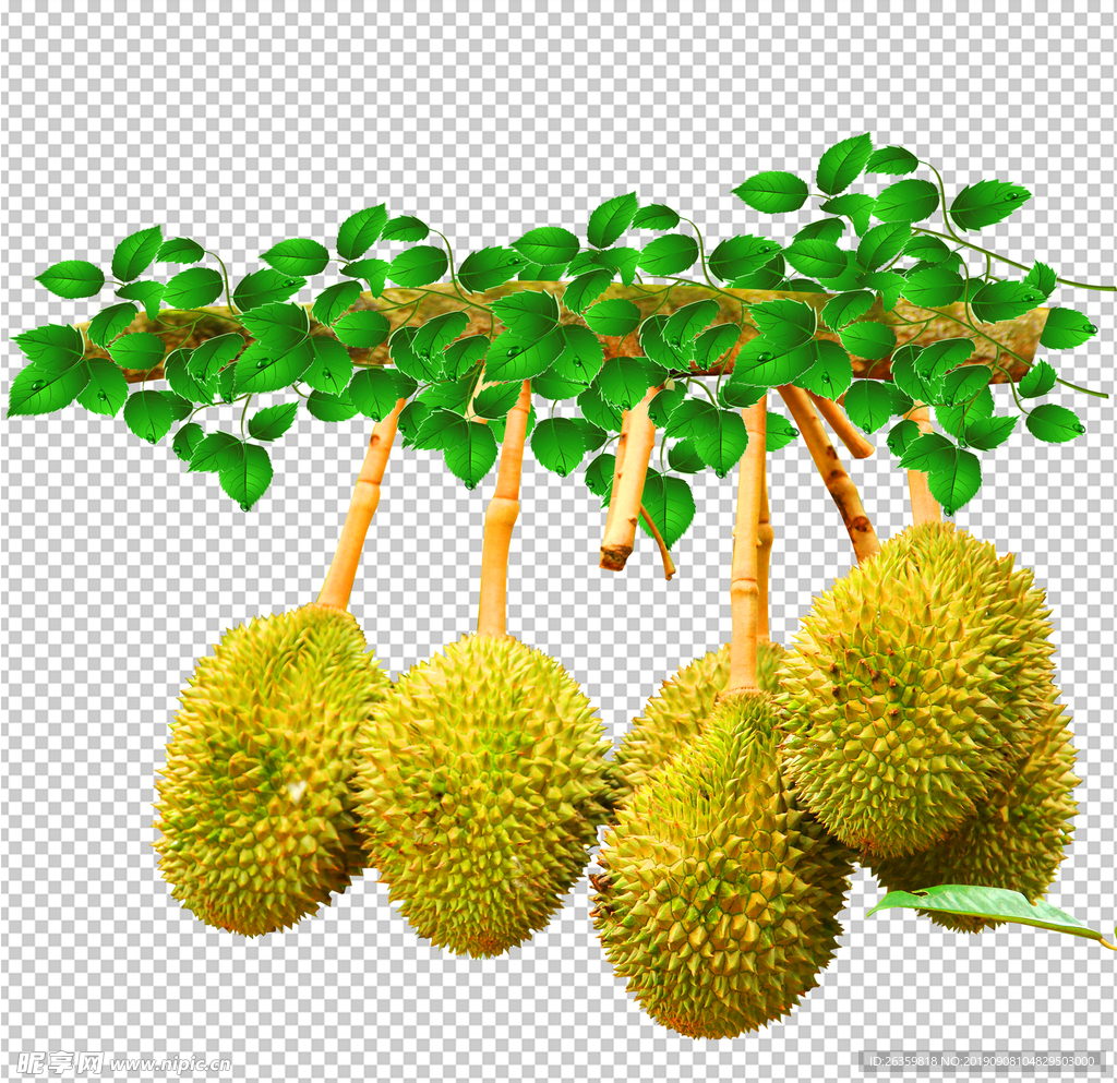 榴莲