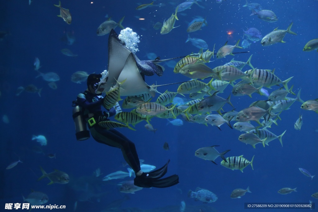 水族馆