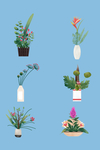 插画植物