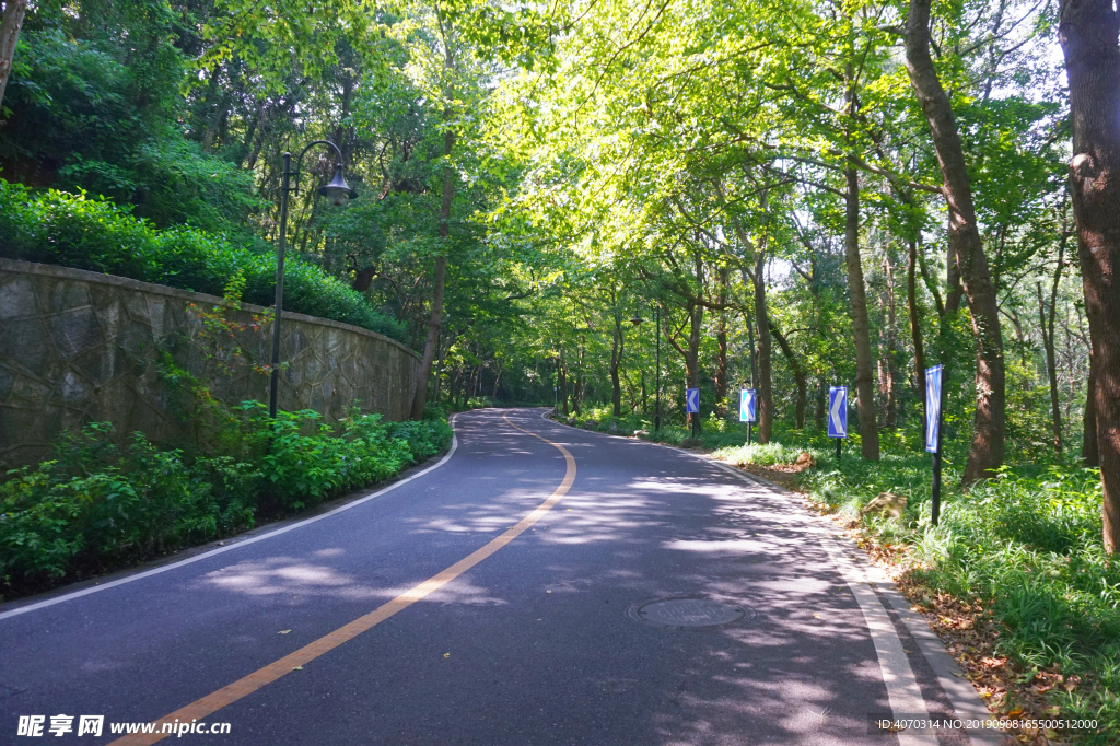 城市公路道路林荫路摄影图