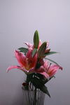百合花