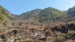 大山