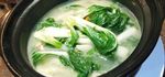 台山白菜