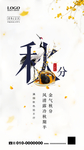 秋分