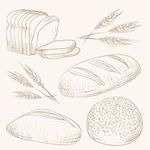 素描各种面包