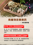 膏药