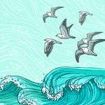 飞翔的海鸥插画