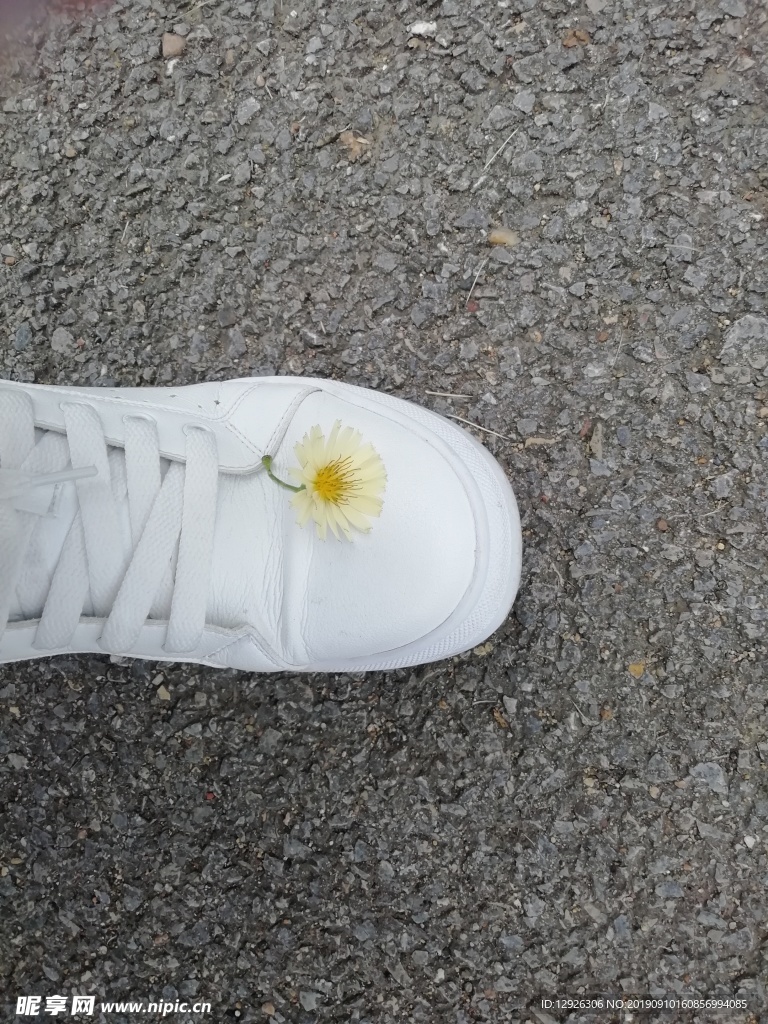鞋上的花