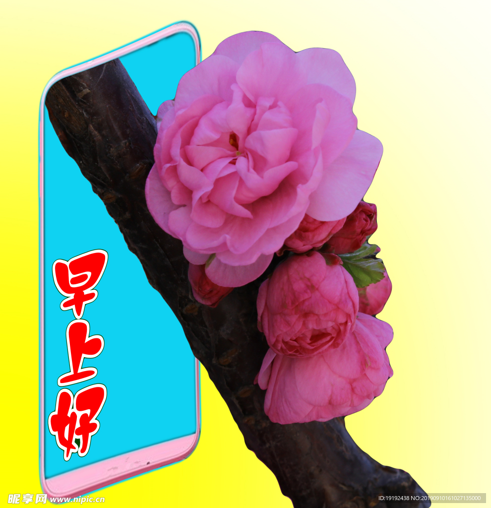 碧桃花儿