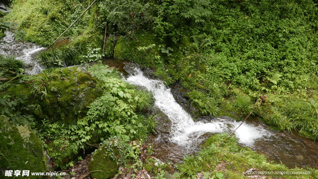 河水