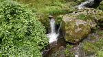 溪水