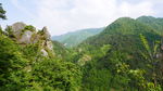 大山深处