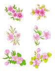 手绘粉色花朵花瓣图案矢量