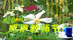 山茶花背景 教师节背景