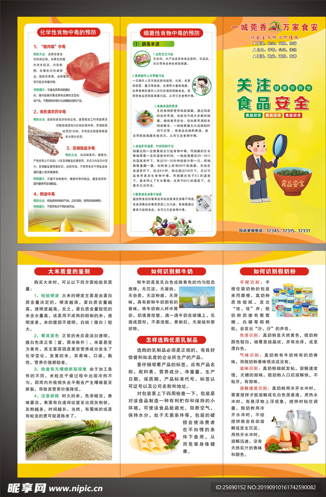 食品安全折页 折页 宣传