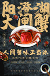 阳澄湖大闸蟹