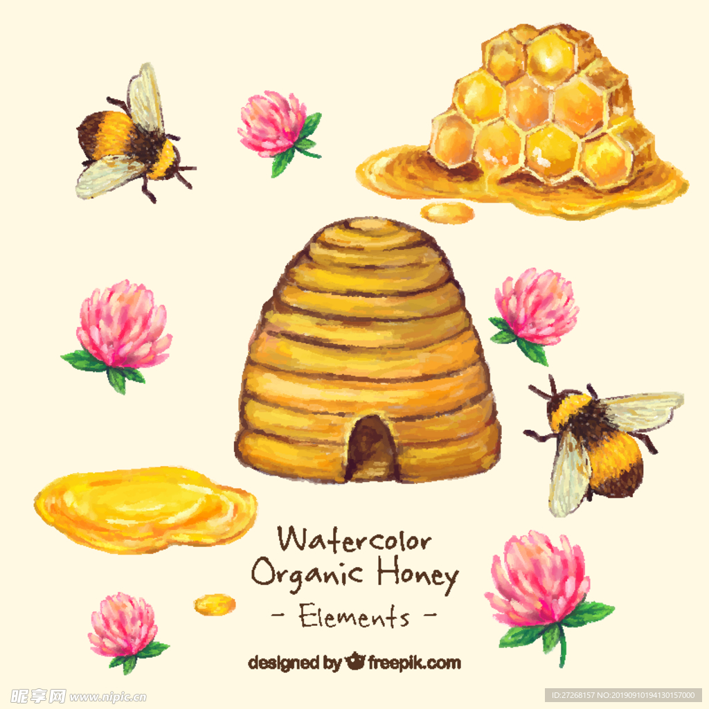 手绘蜂蜜有机蜂蜜