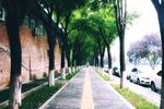 小路