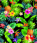 异国风情热带植物循环素材图片