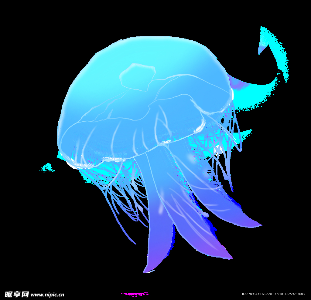 水母