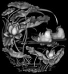 鸳鸯