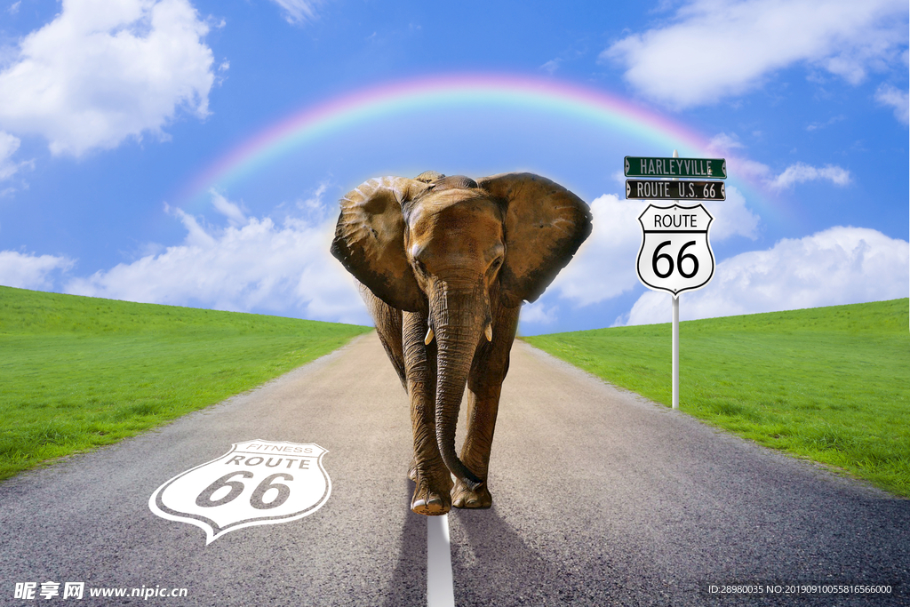 3D大象公路背景墙
