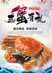 大闸蟹