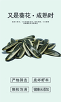 瓜子海报