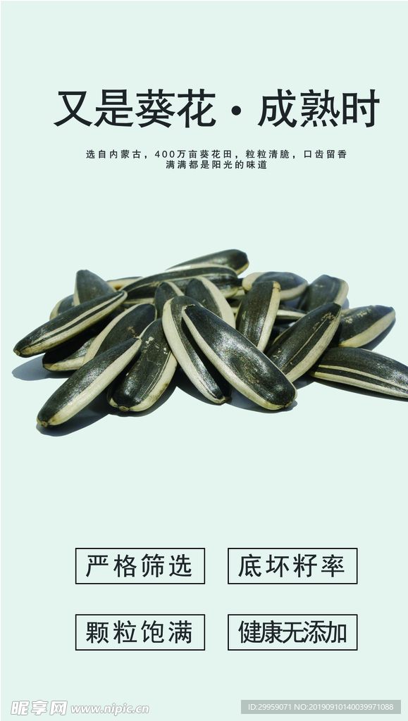 瓜子海报