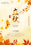 唯美的枫叶立秋海报