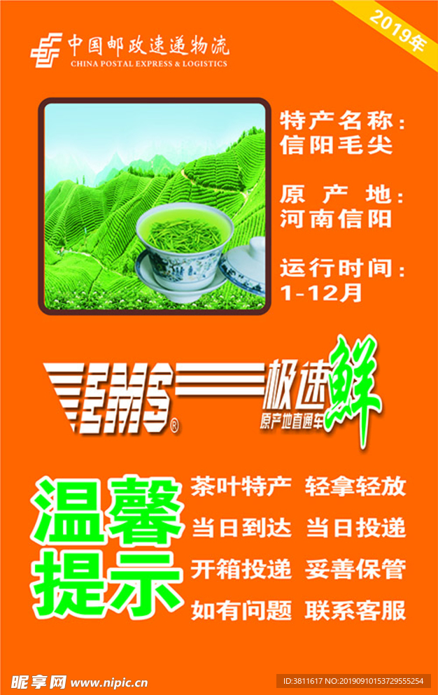 信阳毛尖