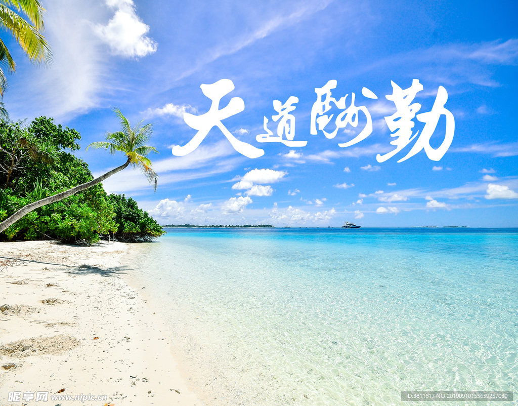 天道酬勤