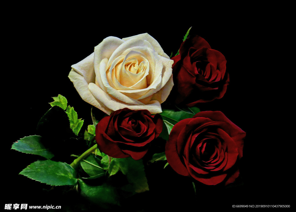 鲜花