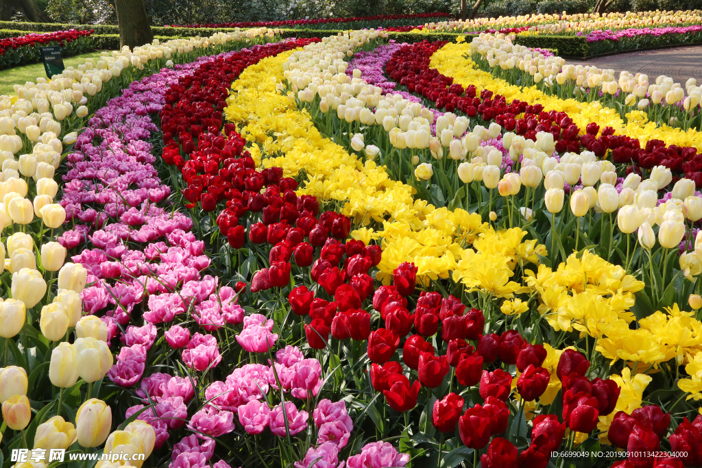 鲜花