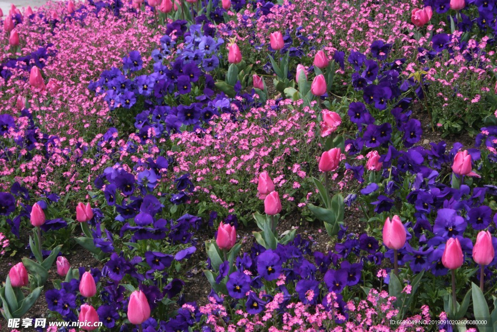 鲜花