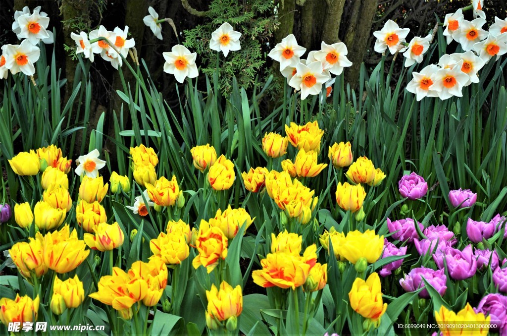 鲜花