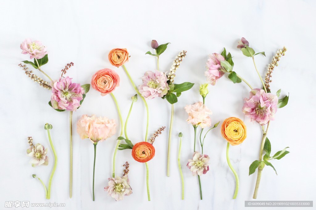 鲜花