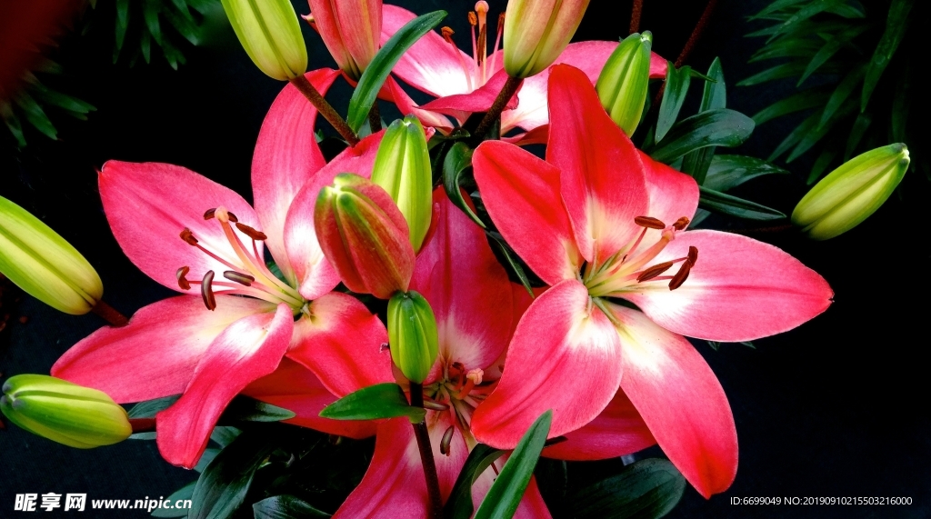 鲜花