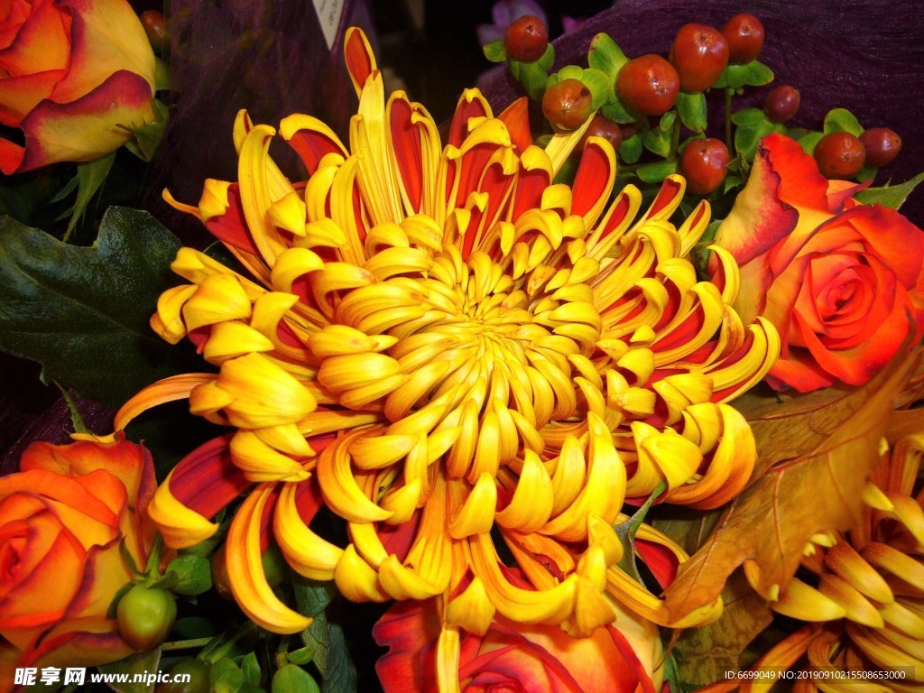 鲜花