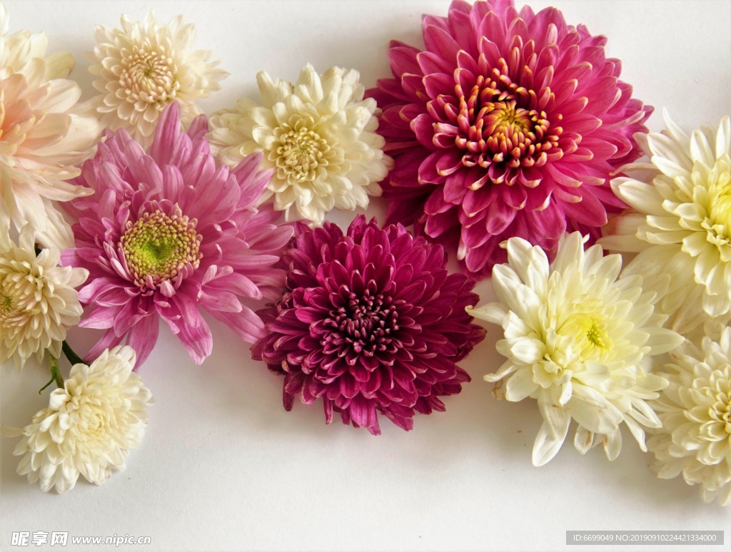鲜花