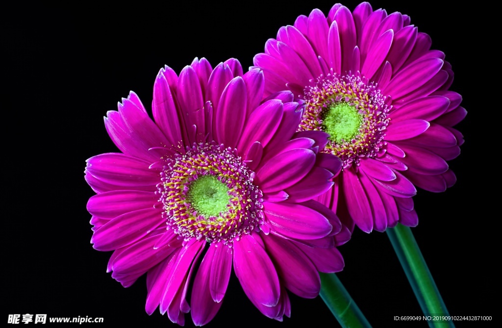 鲜花