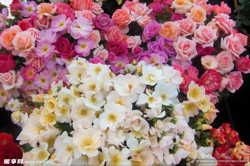 鲜花