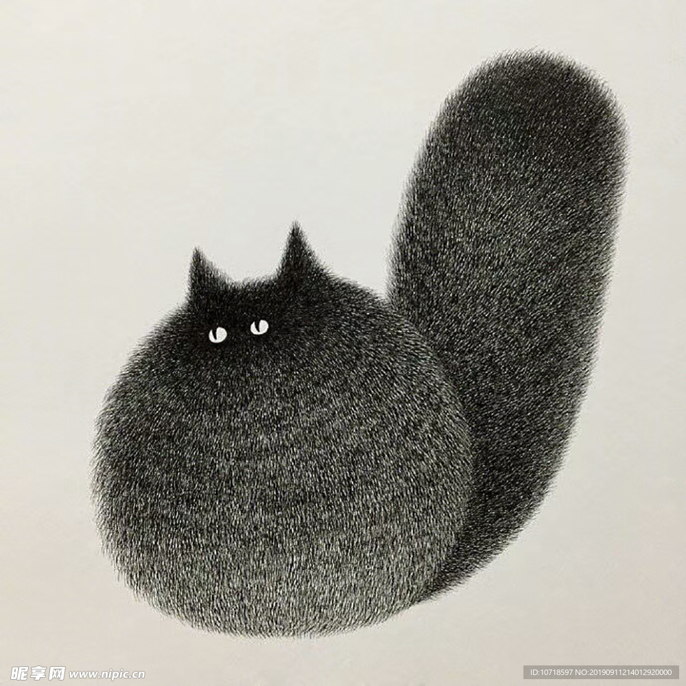 猫咪