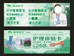 植物医生 陈伟霆 绿色 体验卡