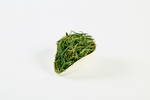 绿茶